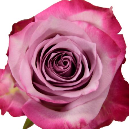 Deep Purple
