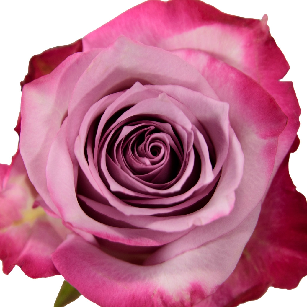 Deep Purple