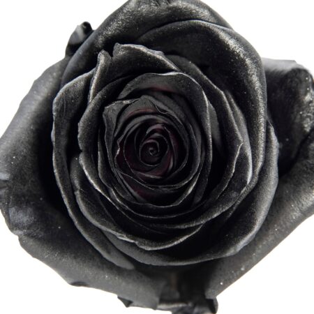 Tinte Black