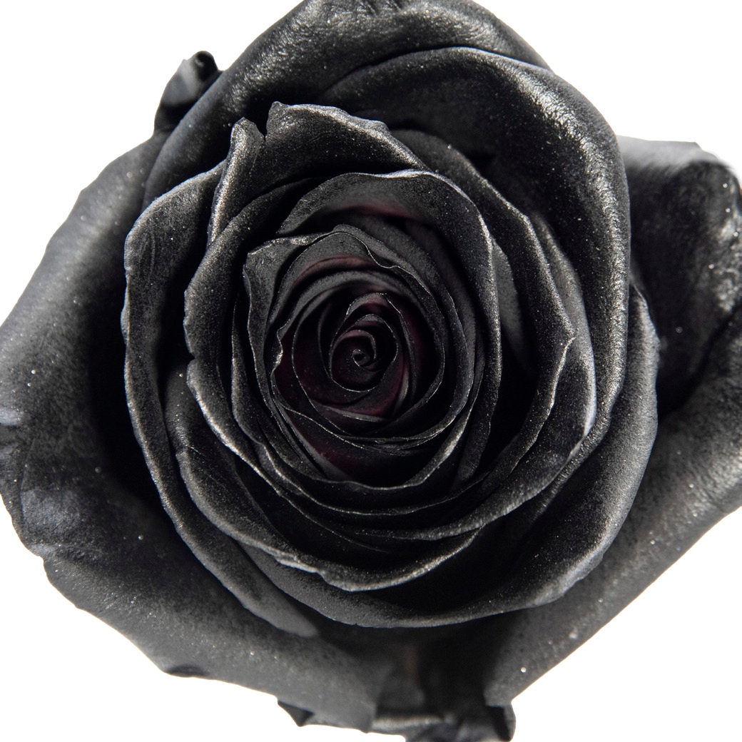 Tinte Black